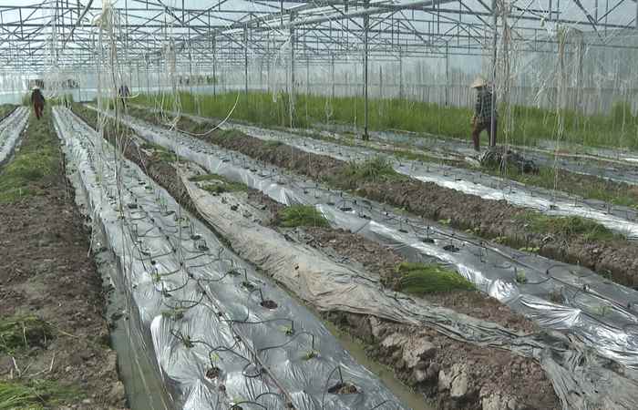 Trang tin địa phương: TP. Sóc Trăng, TX. Ngã Năm và các huyện Long Phú, Cù Lao Dung (21-05-2023)